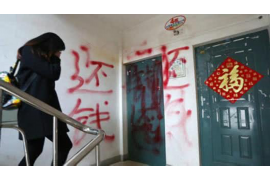 屏山贷款清欠服务